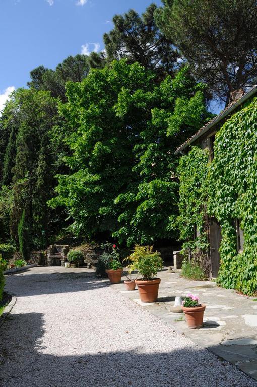 特拉西梅诺湖畔托罗 Borgo La Dogana酒店 外观 照片